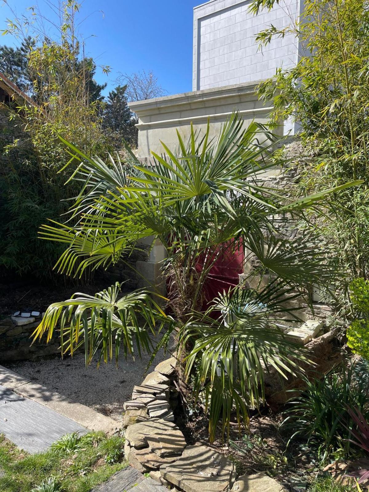 Logement Entier - Le Pigeonnier De La Plume Nantes Exterior foto